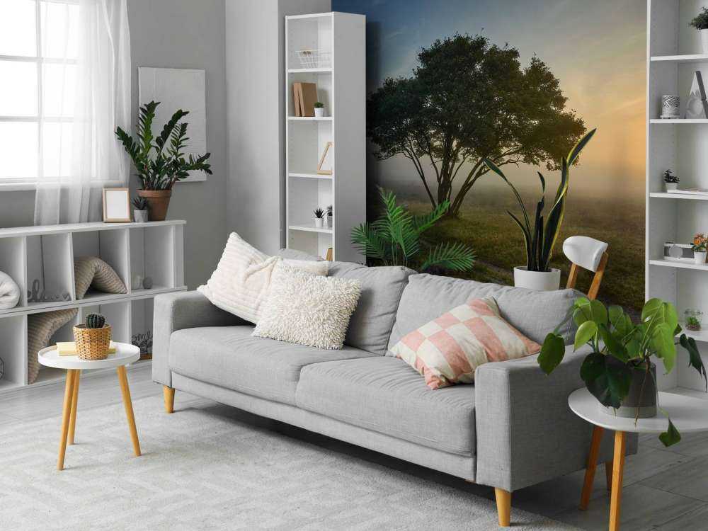 Alba sulla brughiera