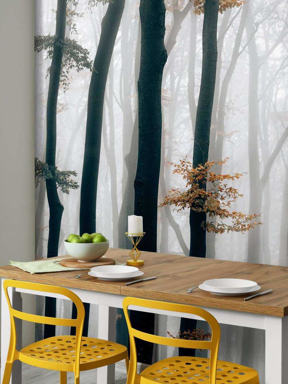 Nebbia nella foresta di faggi