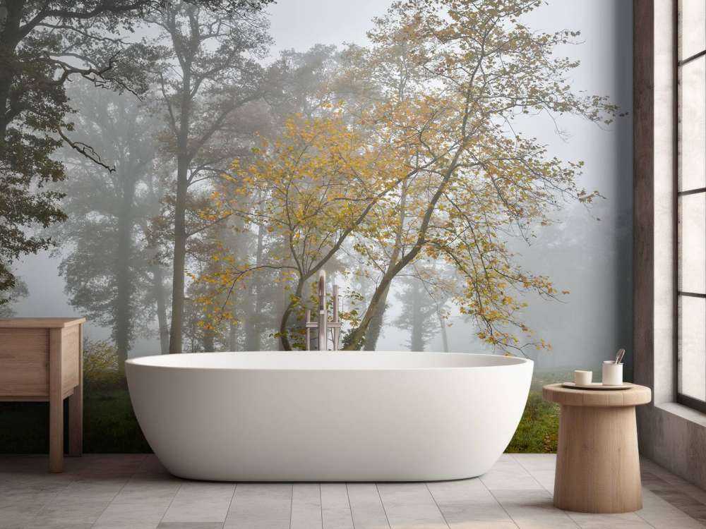 Campo di erba con alberi e nebbia