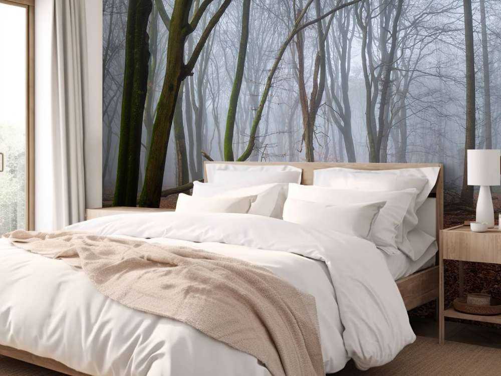 Misteriosa foresta nebbiosa