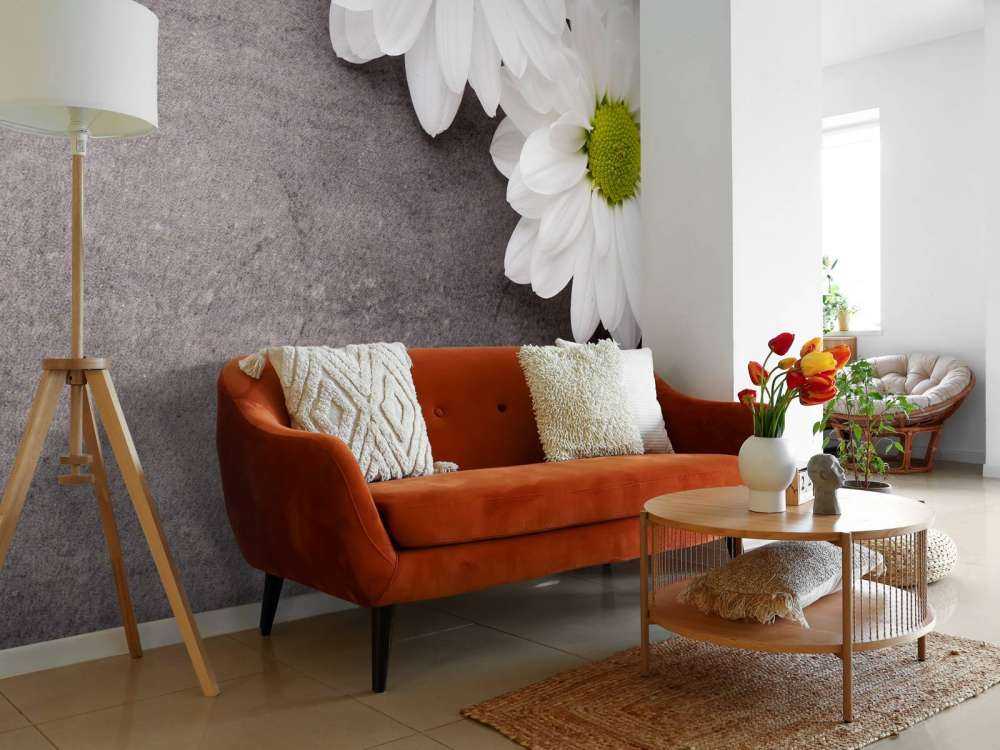 Margherite e calcestruzzo