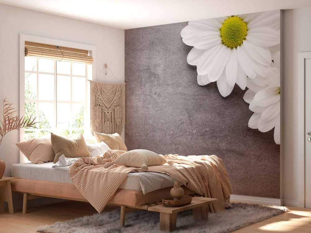 Margherite e calcestruzzo