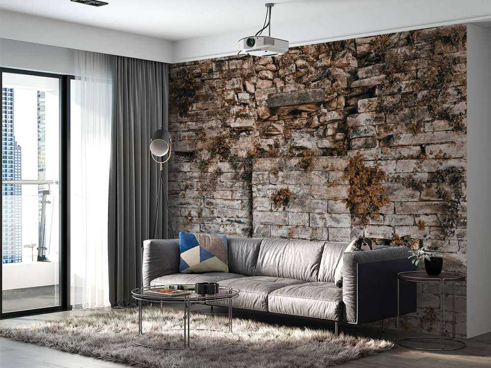 Parete vegetata in autunno