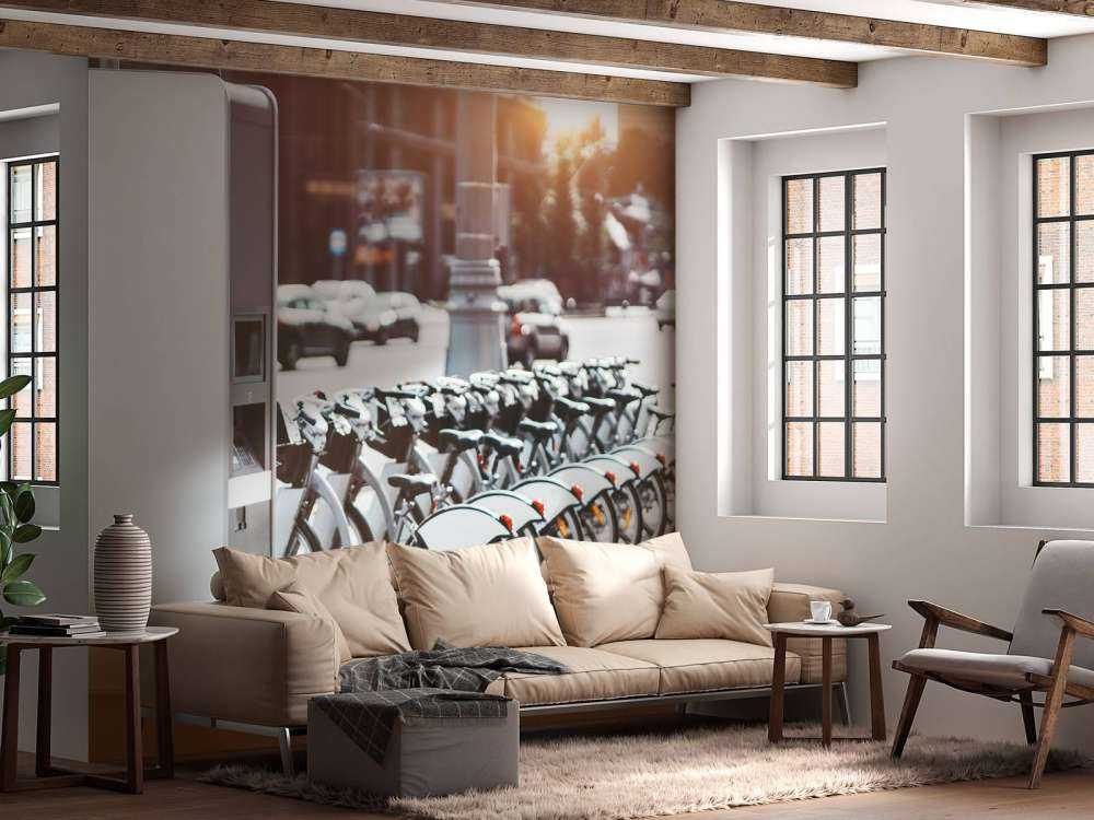 Bici elettriche a noleggio