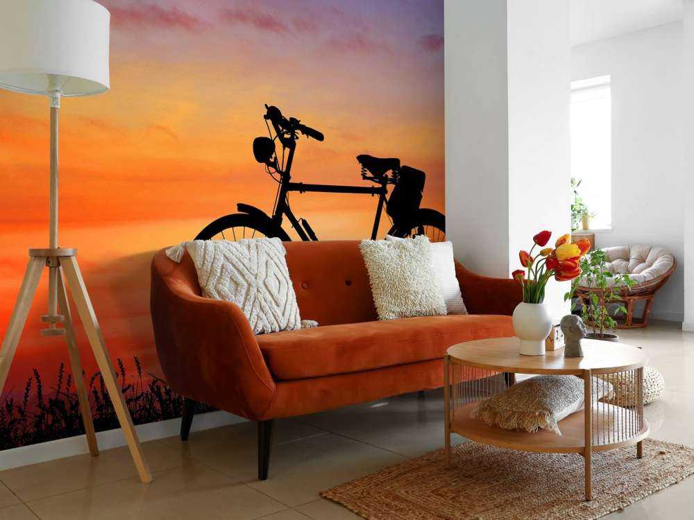 Bicicletta vintage al tramonto