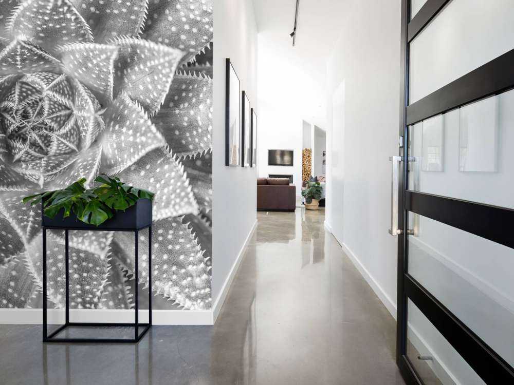 Primo piano di una succulenta