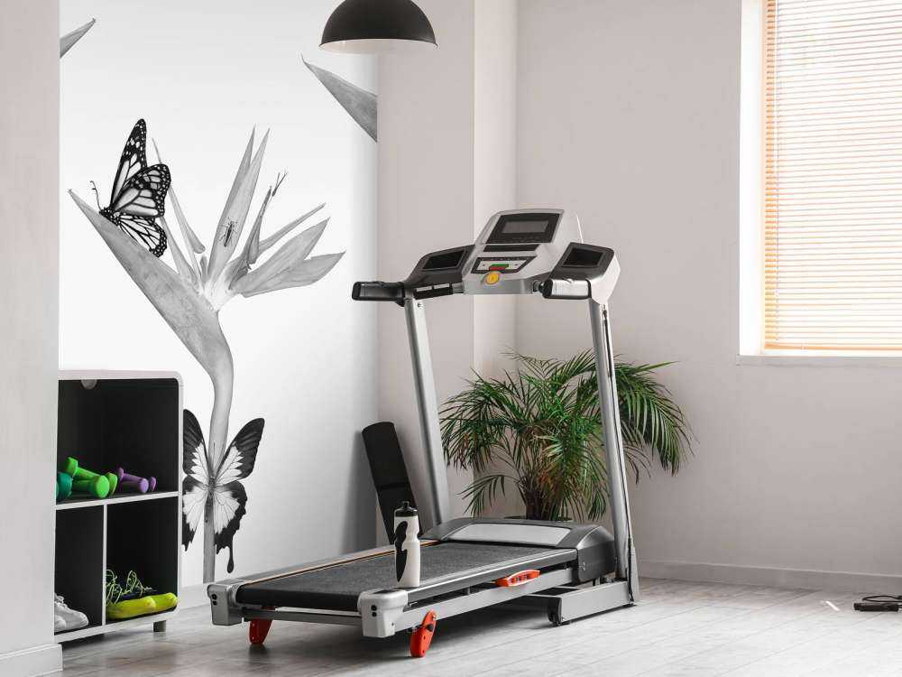 Farfalle su fiori di uccello del paradiso