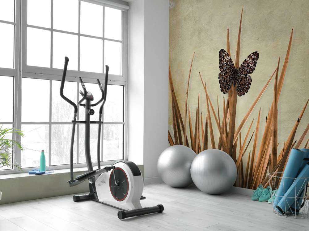 Farfalla vicino a vecchio muro