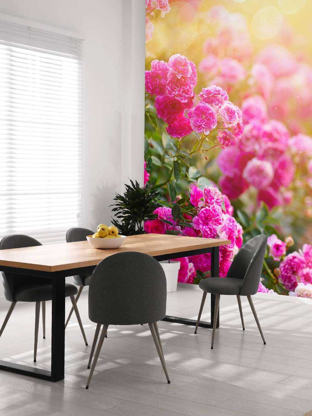 Cespugli di rose rosa