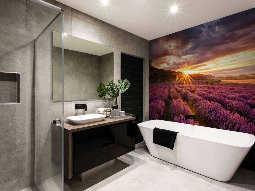 Lavanda sotto il sole