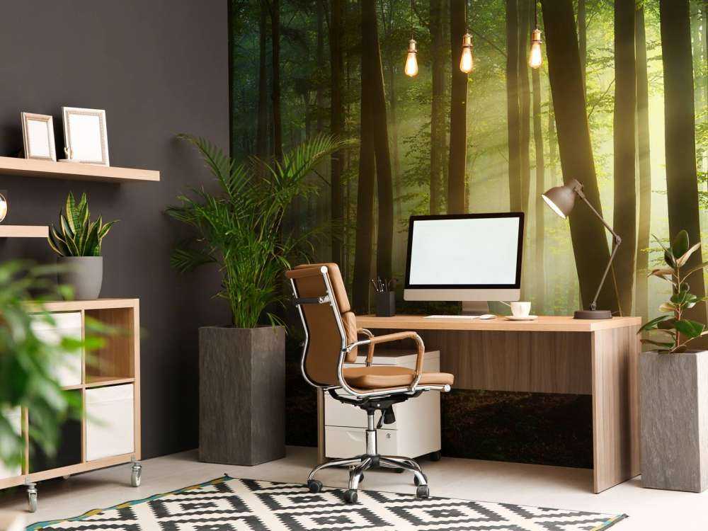 Il sole del mattino tra gli alberi