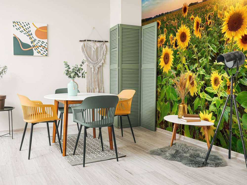 Bellissimo campo di girasoli