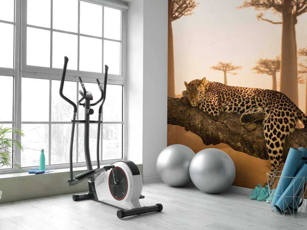 Leopardo addormentato