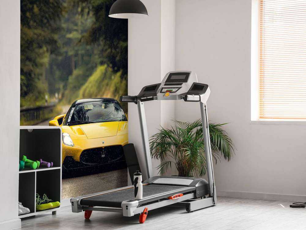 Maserati nel bosco verde