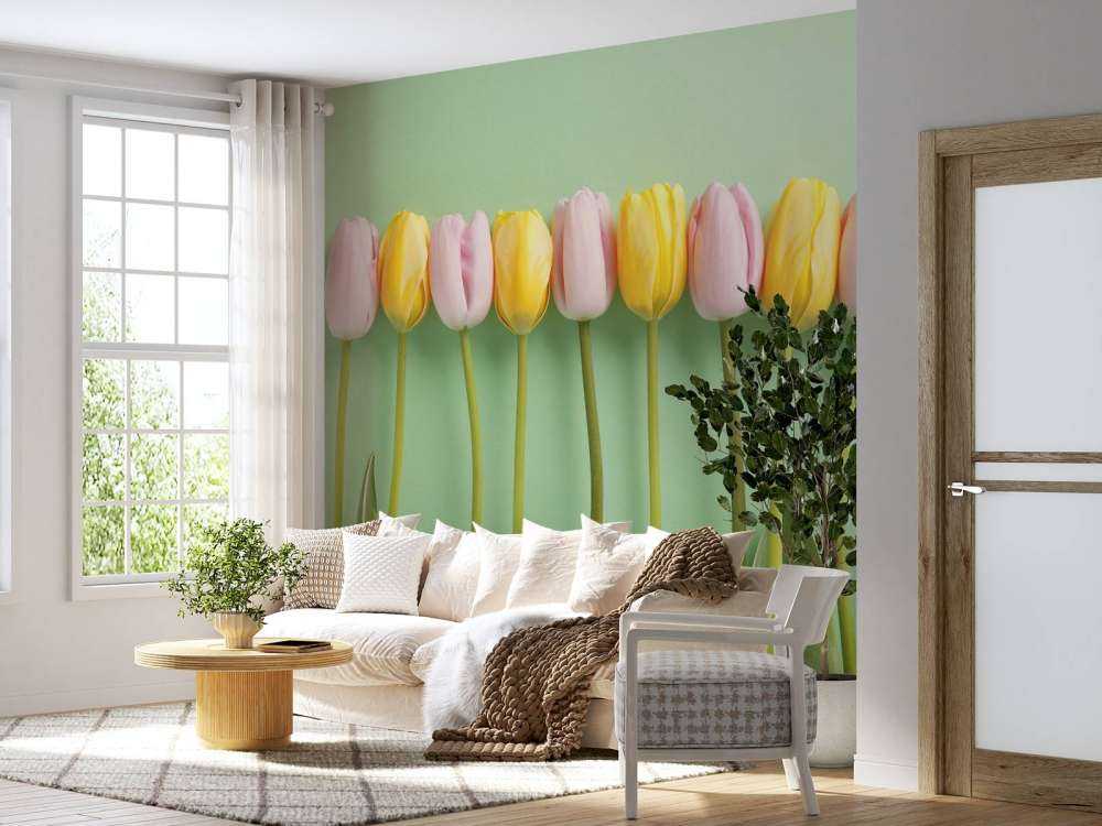 Tulipani su sfondo verde menta