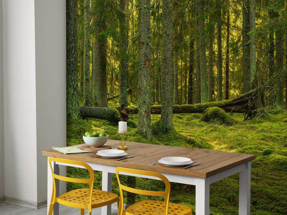 Foresta di pini verdi