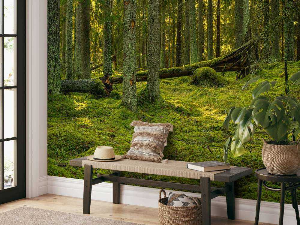 Foresta di pini verdi