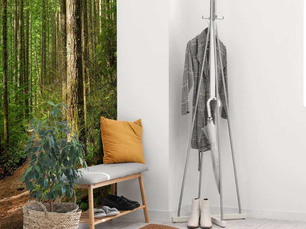 Sentiero nella foresta