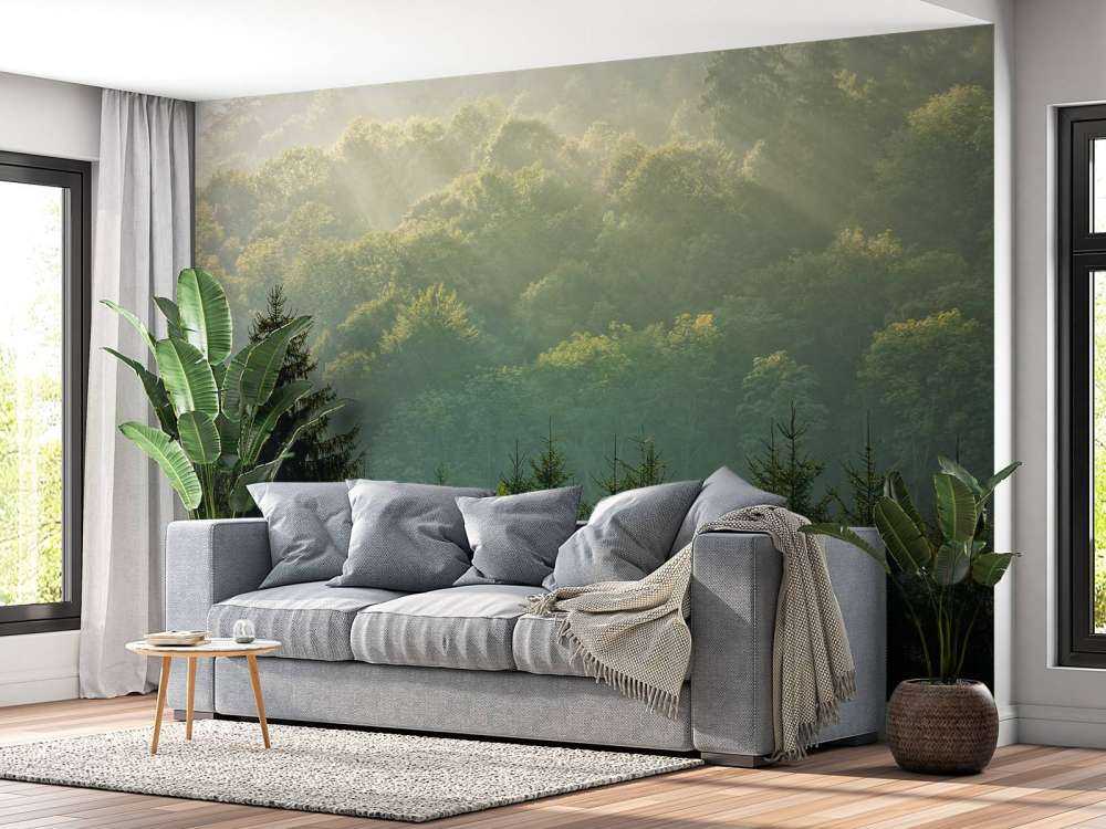 Raggi di sole sulla foresta