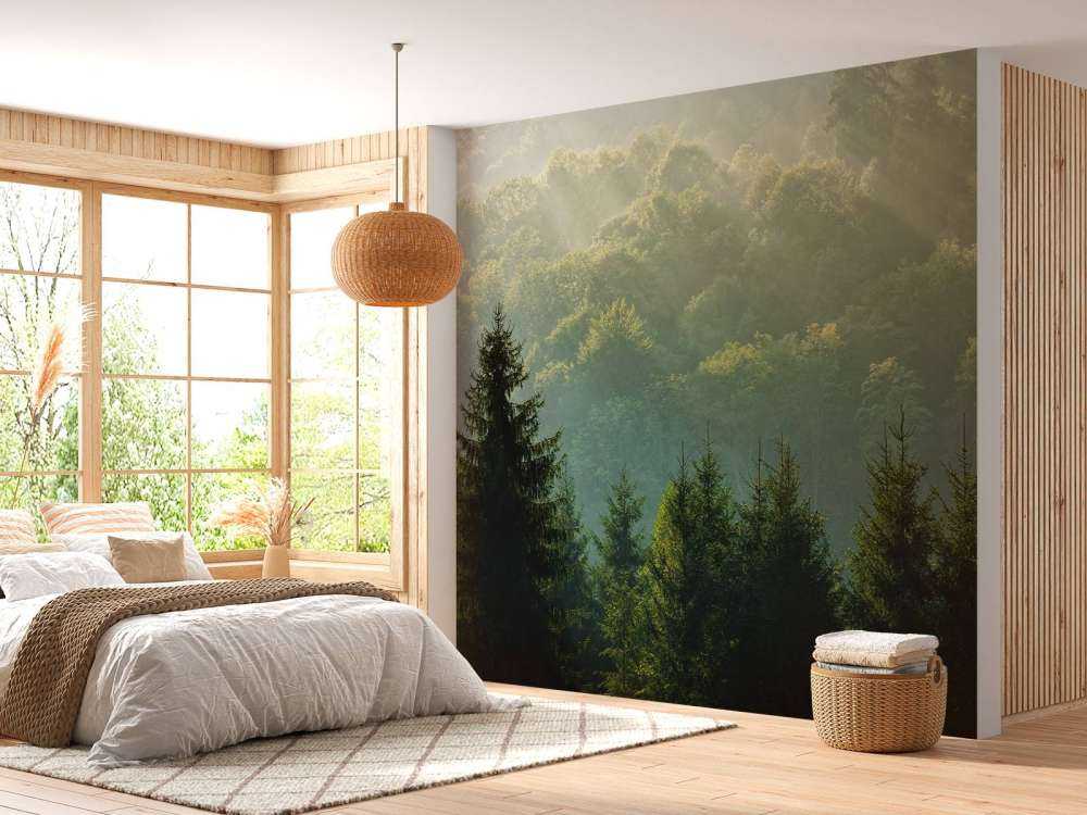 Raggi di sole sulla foresta