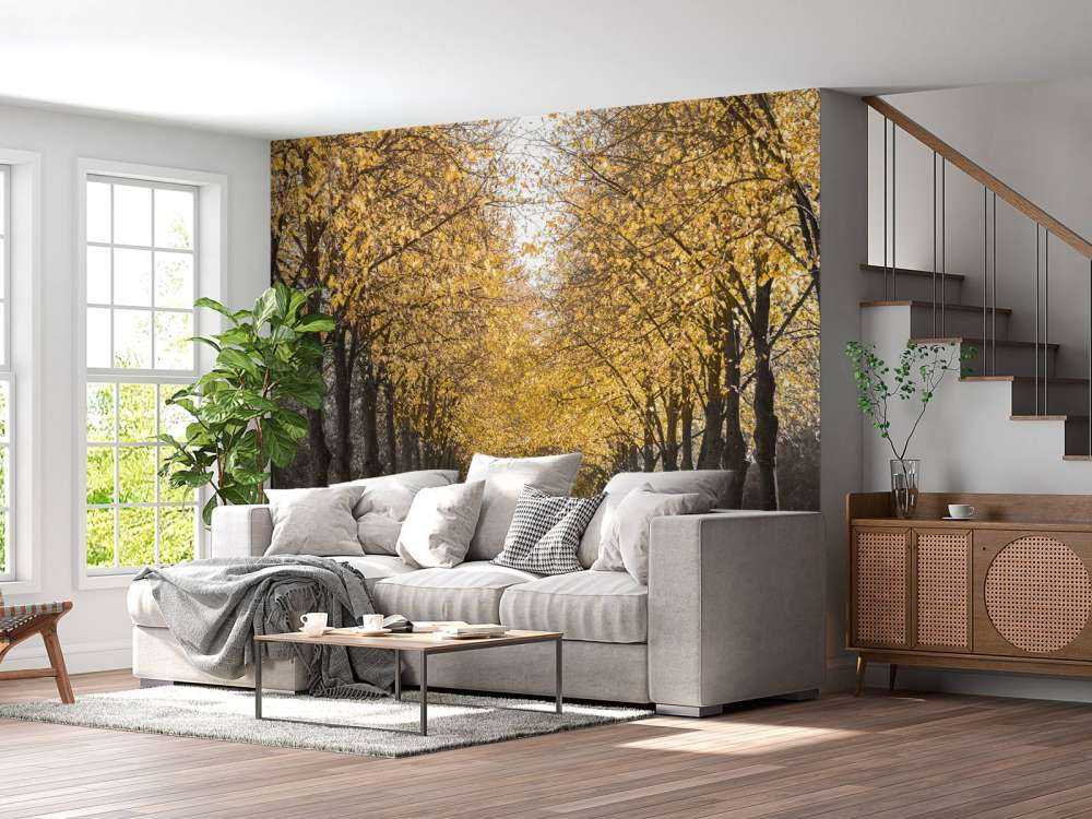 Sentiero tra gli alberi