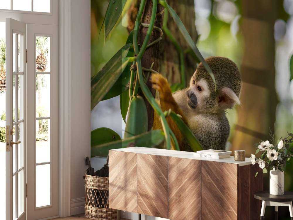 Piccola scimmia tra gli alberi