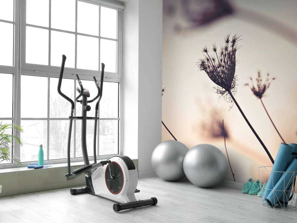 Silhouette di piante