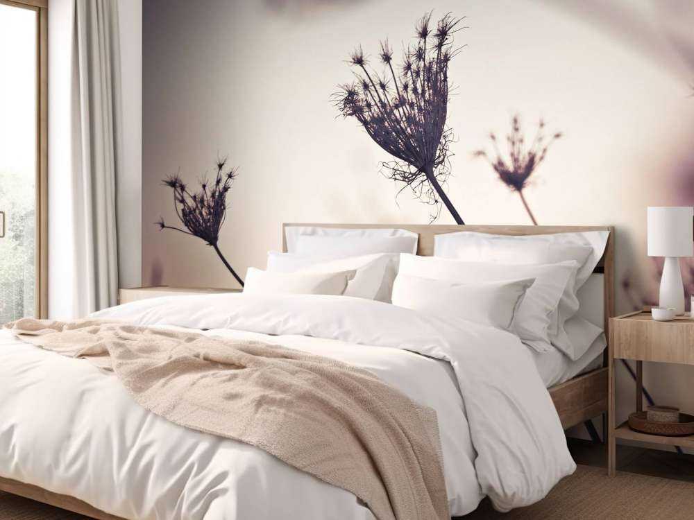 Silhouette di piante