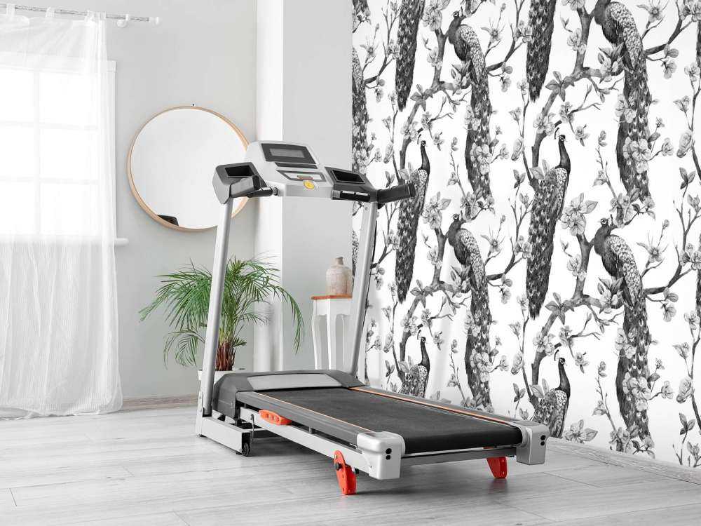 Splendore Monocromatico di Pavone