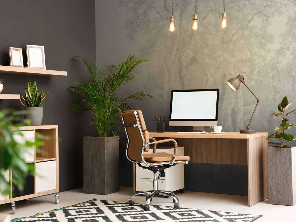 Panorama Blu di Paesaggio Forestale