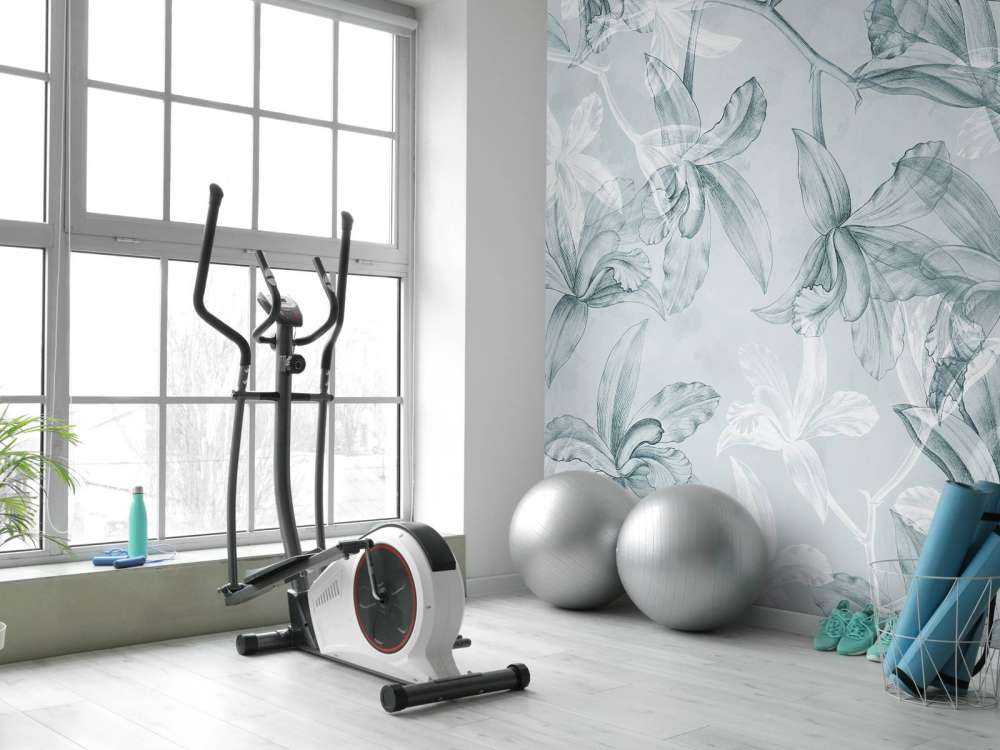 Sogno di Orchidea Verde