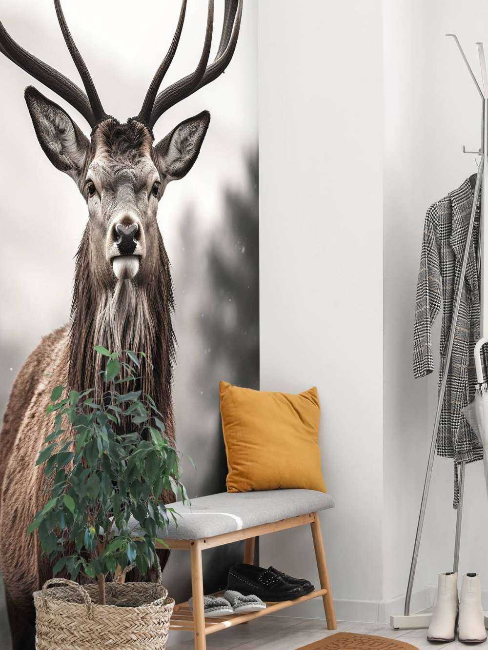 Sguardo del Re d'Inverno Cervo