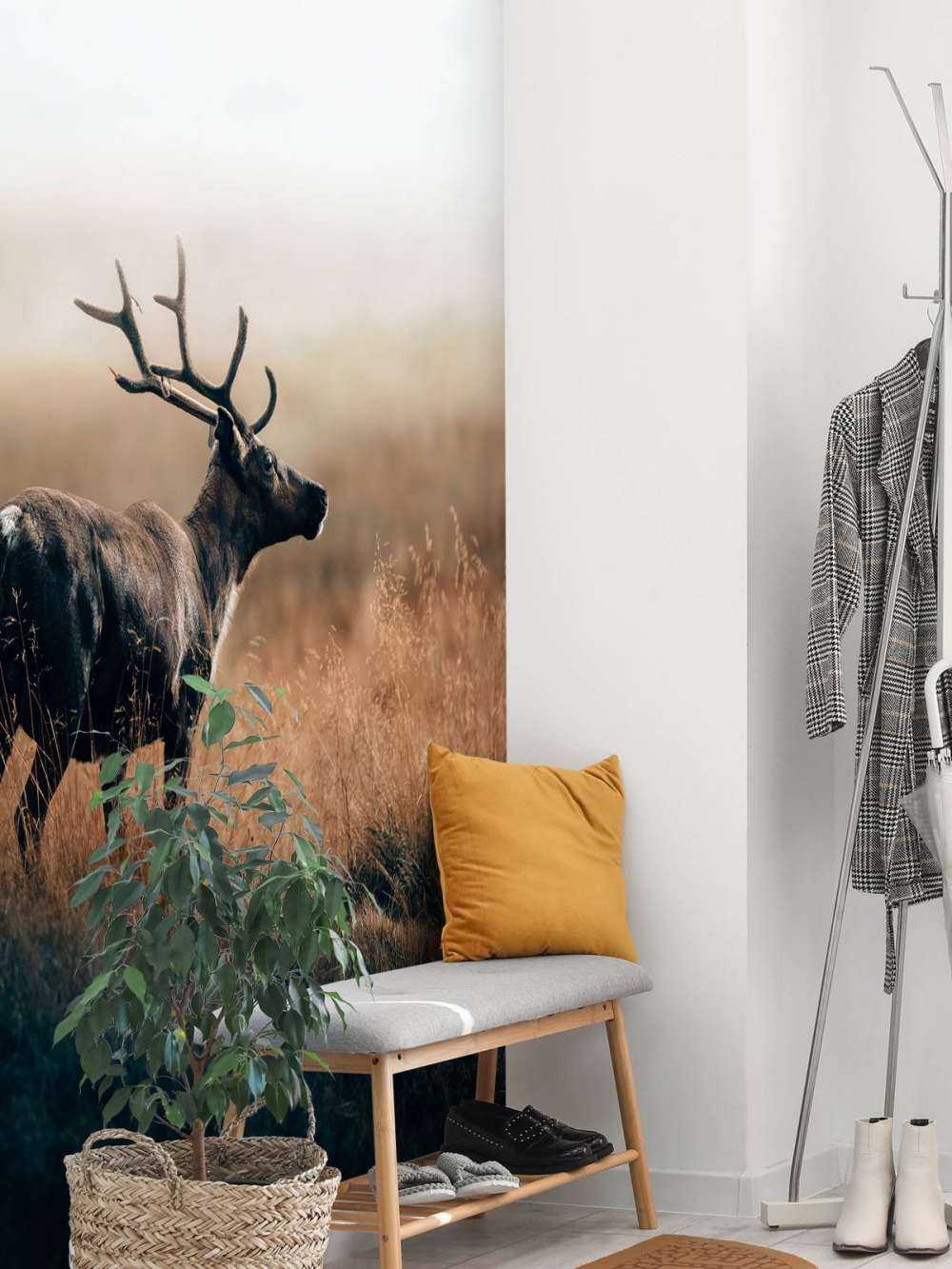 Renne nell'erba alta