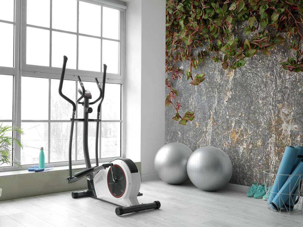 Abbeveratoio per piante 