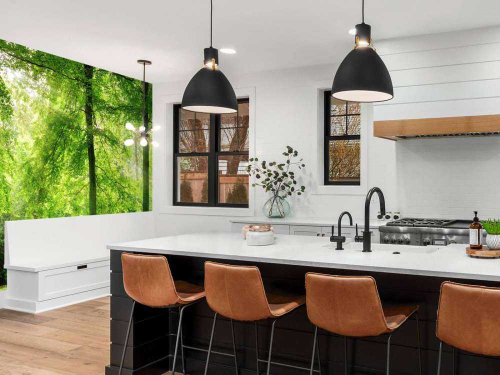 Foresta con nebbia leggera