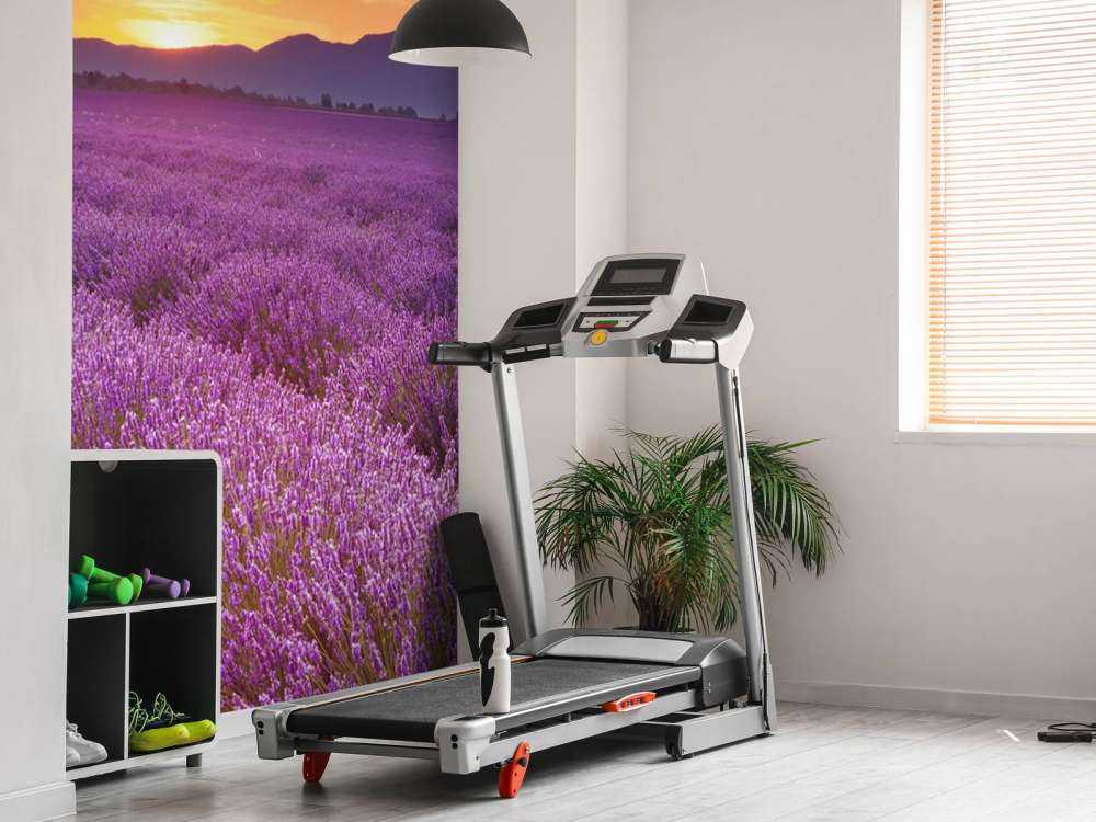 Campo pieno di lavanda