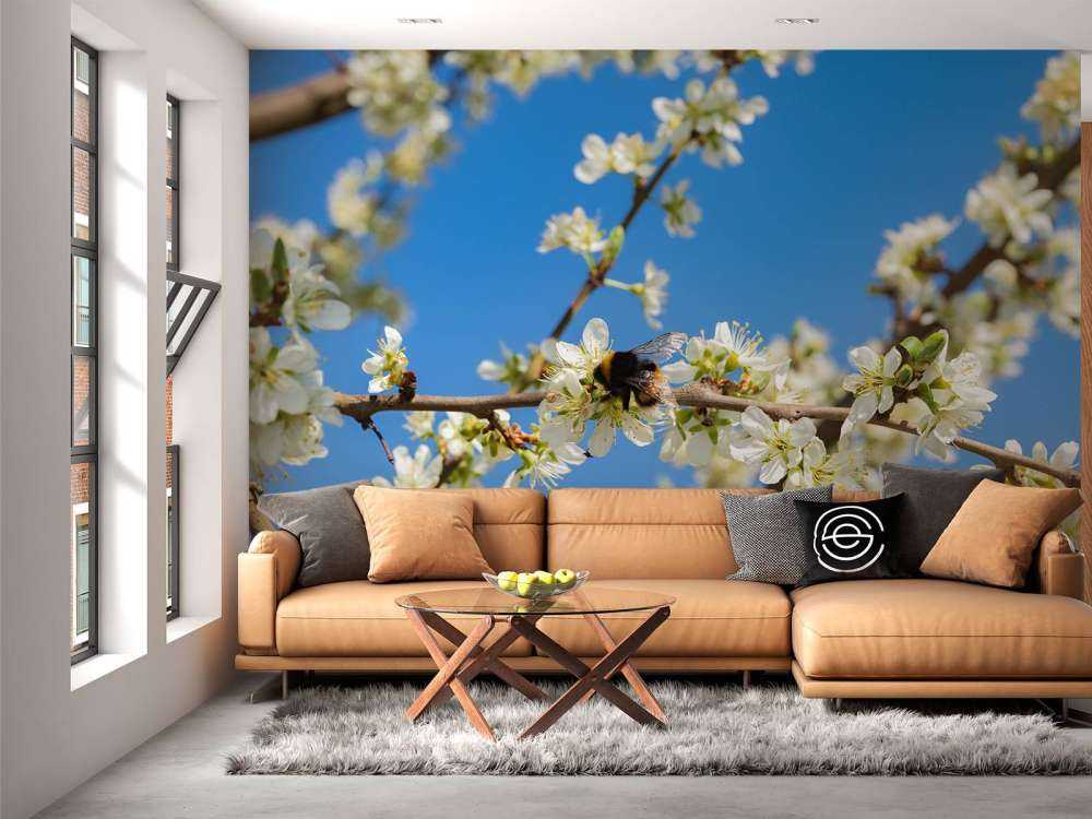 Bombo con fiori bianchi