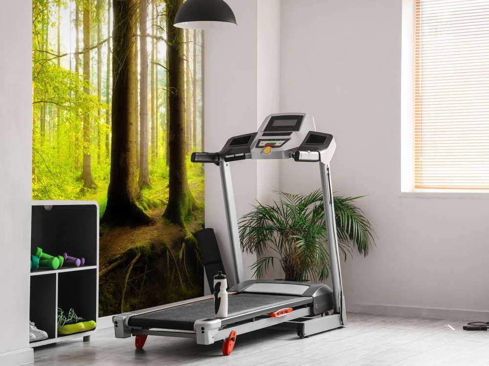 Fresca foresta verde