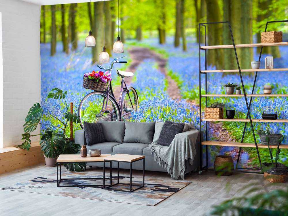 Bicicletta nella foresta