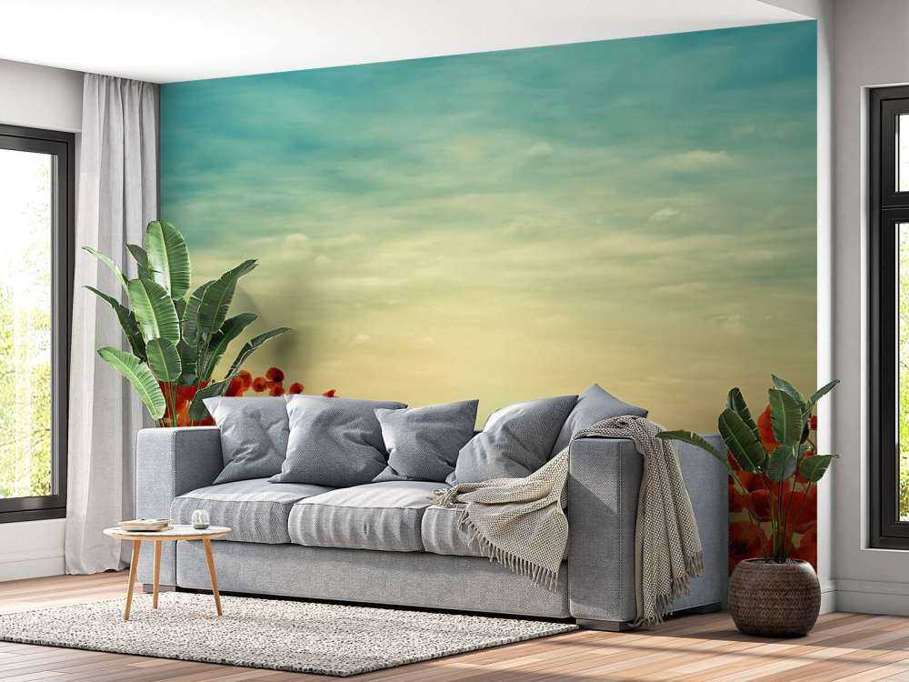 Papaveri con tramonto