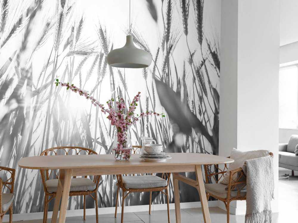 Campo di grano soleggiato