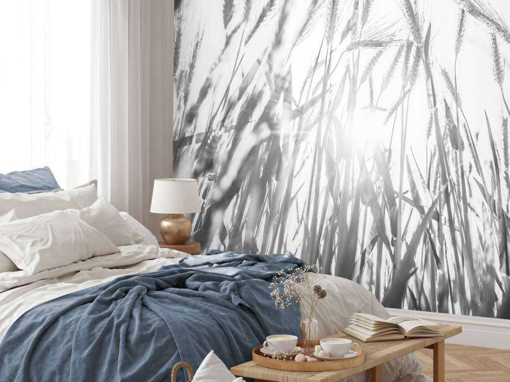 Campo di grano soleggiato