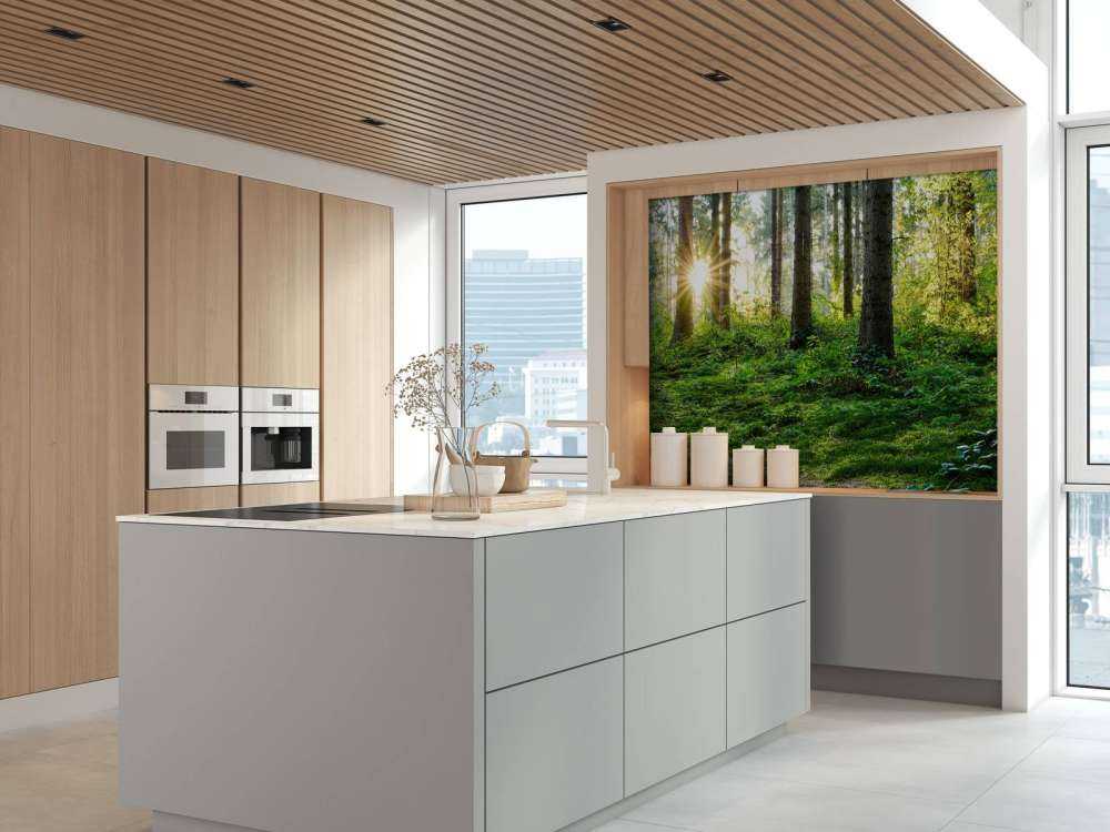 Panorama della foresta in primavera