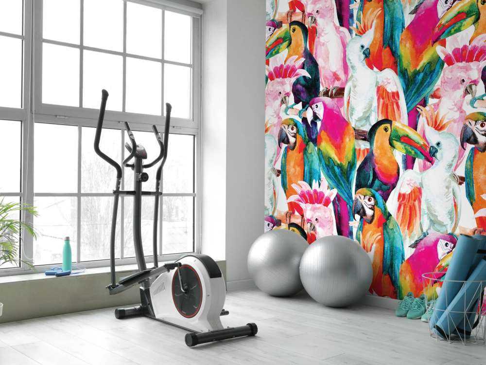 Uccelli dai colori tropicali