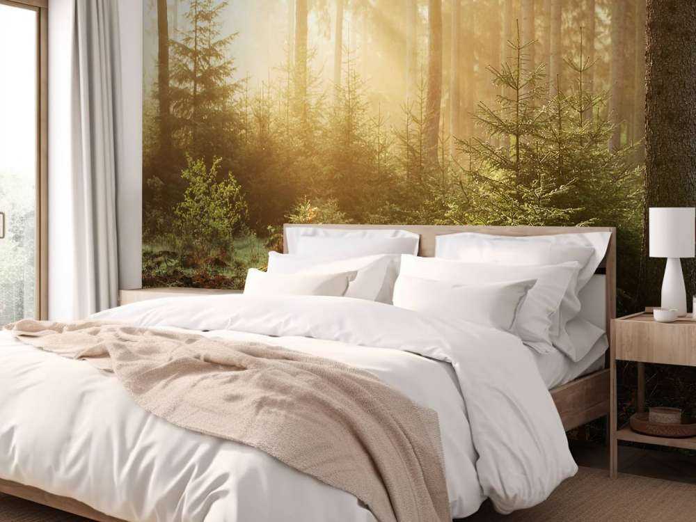 Raggi di sole attraverso la foresta