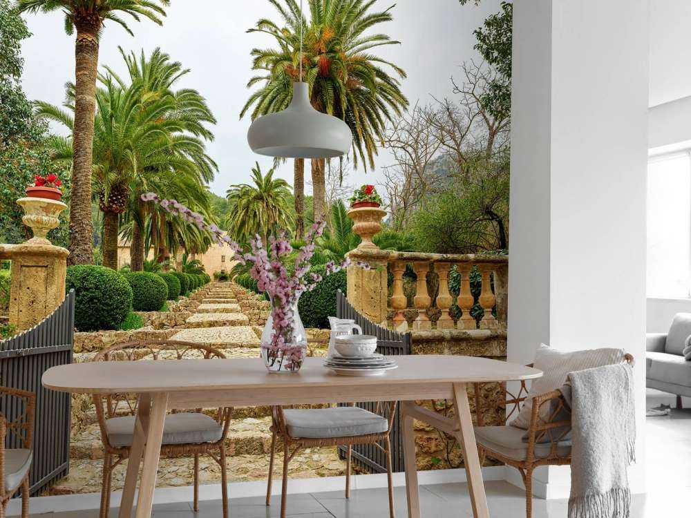 Palme lungo i gradini di pietra