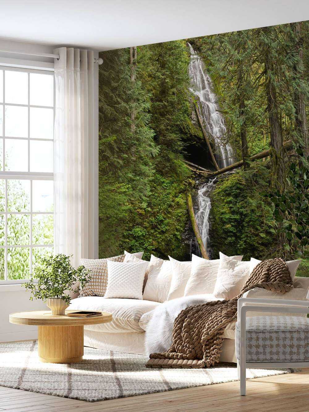 Cascata con alberi caduti