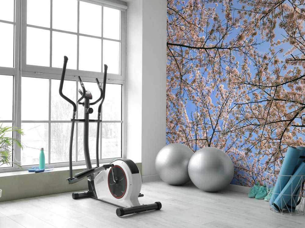 Rami in fioritura in fiore