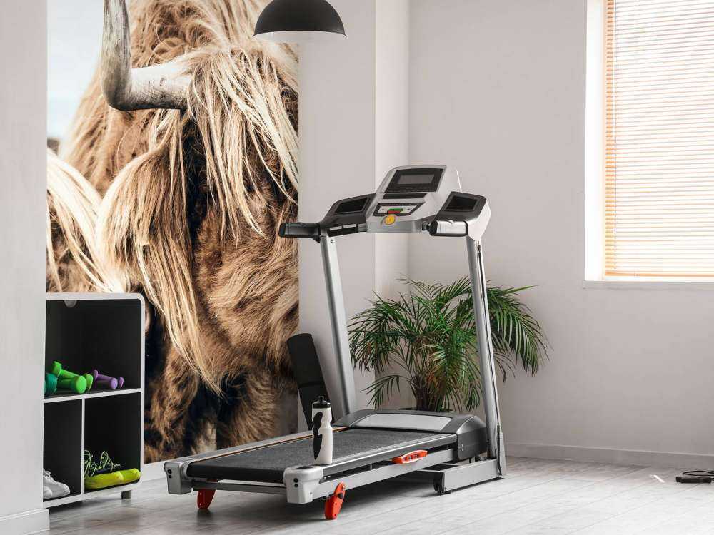 Due Highlander scozzesi