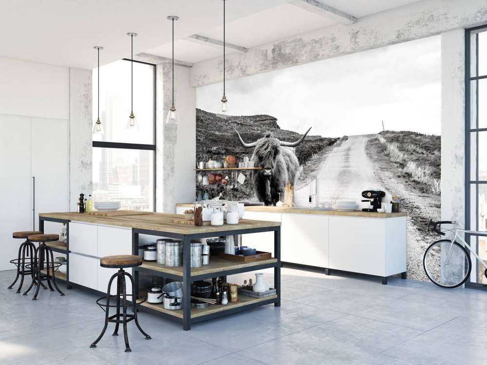 Highlander scozzese su una strada